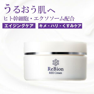 rI GN\\[ qgזE bNXN[ 50g | `m[ N[ GCWOPA ێ N[  q  { VJN[ Ƃ Z~h R[Q 