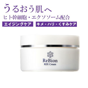 yLINEFB500~N[|zzzrI GN\\[ qgזE bNXN[ 50g | `m[ N[ GCWOPA ێ N[  q  { VJN[ 