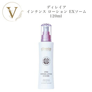 y|Cgő10{yVX[p[Z[ԌzfBCA Xe CeX [V EX\[ 120ml Tꔄi  Direia łꂢ ϐ