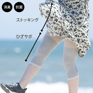 [ superő10{ ] Y ЂT|[^[ t[ 60 - 110cm MX ^Cc / { Y L R Ђ Xpbc H ~ z GAR fB[X G EH[}[ XgbLO Ci[ 