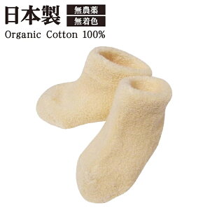 [ |Cgő10{ ] { I[KjbNRbg xr[ \bNX / xr[  C C   xr[ V Ԃ c  {   ӂӂ 炩 q  