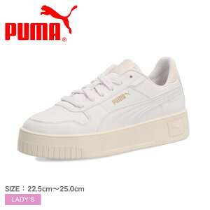 sN[|zztv[} Xj[J[ fB[X PUMA L[i Xg[g WRinbXCj C V[Y [Jbg  ͂  uh Vv JWA X|[eB ʊw 