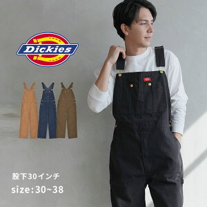 fBbL[Y Tybg Y DICKIES ru I[o[I[ Ȃ pc ƕ ƒ d n EGA |Pbg uh Xg[g Vv JWA   y 