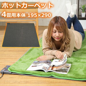 zbgJ[ybg { 4p g[ʐؑ ܂肽ݎ[ _jގ dCJ[ybg TEKNOS eNmX TWA-4000B