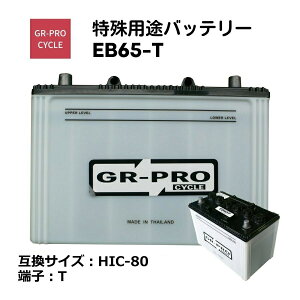 GR-PRO CYCLE probe[ pobe[ Ǝ XC[p[ XNo[ ^d BROAD EB65 EB65-T yszysz