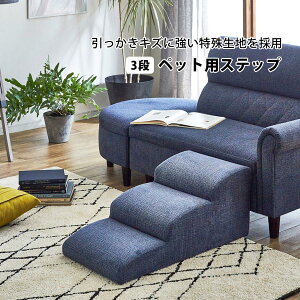 ybgpXebv ybgpi ybgƋ ybgpXebv Xebv Ki X[v 3i DS-STEP-3 yszysz