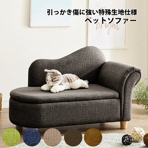 WjAybg\t@ [t qǂ ybg \t@ L  ybgxbh ybgp\t@ qp\t@ ybg\t@ ybg\t@[ LbYpi ybgpi ybgƋ Q  R