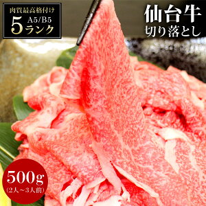 䋍 јa A5 B5 ؂藎Ƃ 500g {錧Y   a Y  Hi Ε Ε  䒆 j v[g Mtg y/sz