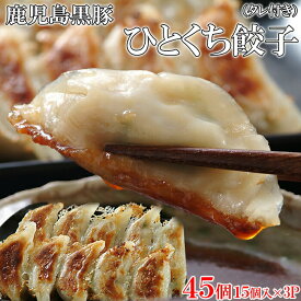 ひとくち餃子 45個 タレ付き 鹿児島黒豚 旨味がしっかりした鹿児島育ちの黒豚の美味しさをそのまま餃子に詰め込みました！ パリパリでジューシー 箸が止まらない 【代引不可】