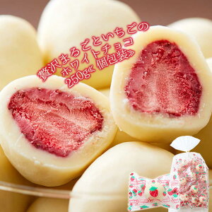 ̑lґ܂邲Ƃ̃zCg`Rǂ250g _ƊÖ▭ȃR{[VII َq XC[c ``R SM00010547 ysz