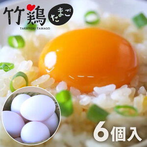 |{܂iʁj 6P |{t@[ {錧Y Y   ^}S  |{ Mtg 蕨 y/sz