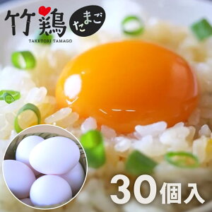 |{܂iʁj 30 |{t@[ {錧Y Y   ^}S  |{ Mtg 蕨 y/sz