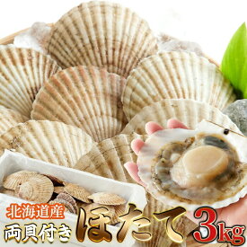 北海道産 両貝付きほたて（3kg） 北海道産両貝付きほたてを新鮮そのまま生冷凍!甘味が強くワンランク上の美味しさ! ホタテ ほたて 帆立 殻付き 両貝付き 生冷凍 刺身 BBQ ホタテ殻付き NK00000139 【代引不可】