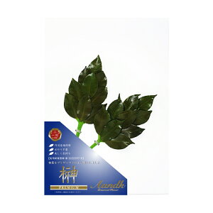 v~A~jSi΁j { 肢炸  ۑ\ Y H SKK-009 yszysz