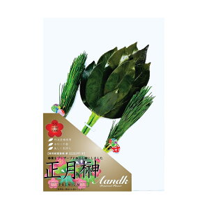 SS ti΁j { 肢炸  ۑ\ Y H SKK-013SS yszysz