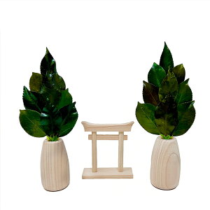 ~jS ۍ嗧ĒZbg { 肢炸  ۑ\ Y H ST-055 yszysz