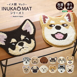 }bg  Ck `FApbh 􂦂 h_j ~ { V[gNbV փ}bg }bg ~j zc O  Ck   }bg Ck}bg  킢 