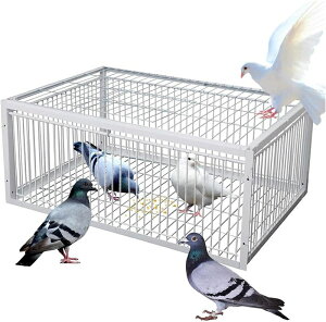 ߊl Гt Eoh~݌v O  ߂   |[^u 4 A SP[W RN^[ ɊQ͂܂ 悯 gݗĊȒP   ƒ؉ _