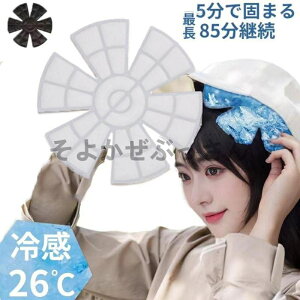 wbhN[ Xqp ЂObY X|[c MǑ΍ObY Xq ₷ PCM 28xŎRX ⊴ ۗ ΍