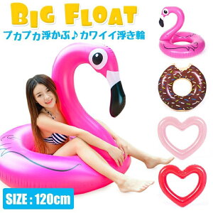  t[g t~S lp 120cm  rbOTCY h[ic CX^f r[`  킢 sN C v[ Be SNSf A