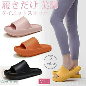 Y fB[X oX _CGbg C T_ Xbp ̊  K r _CGbgT_ _CGbgXbp