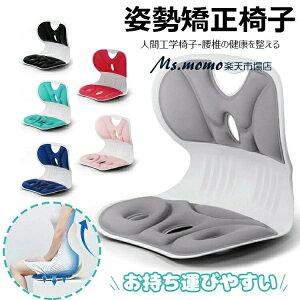 Ջ `FA ֎q p NbV  ObY pǂȂ  Ă   g[jO ObY fXN[N p ObY ֎q pT|[g V[g Lw  fXN