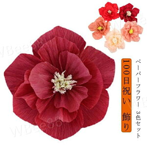 3FZbg o[Xf[  n[to[Xf[ t y[p[t[ p[eB[ 100j fR[V Zbg  a ̎q 1 LO  EFfBO j̎q p[eB 