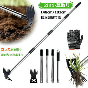 G 148cm/183cm 蓹    [L  背[L/L  X`[ Yf| ܂  ̎Gނ     芙 S y 