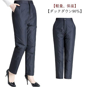 _E90 {gX 傫TCY H~ St y fB[X _Epc _E90  n EFXgS Y{ oR ]  ʋ AEghA