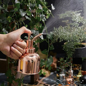 傤 W[   XeX 300ml  Xv[ ~XgXv[ |v IV  g K[fjO ϗtA    U T ܂ Up