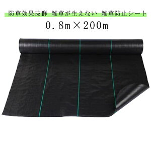 i hV[g V[g hV[g ϋv GV[g V[g sv 0.8m×200m   V[g   悯 V[g hV[g  h Gh~ G