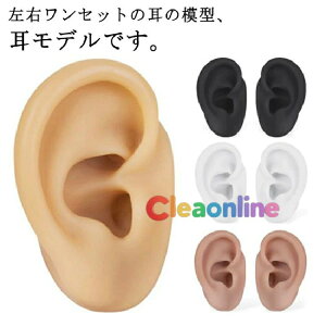  VR sAX EZbg f  K tFCN ̖͌^ ݂ A CO fBXvC p wp ANZT[ I I D