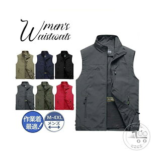 StxXg StEGA xXg Y bV ނxXg t jp ƒ _ d ʋ oR J} Lv ~^[ Bep