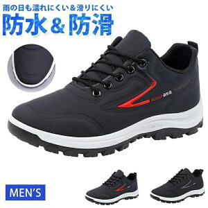 Xj[J[ Y h J  y Jp jp hV[Y  ʋ ʊw EH[LOV[Y JWAV[Y ^C WMO 