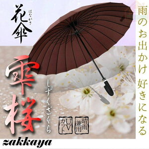 B[XԎPԕ킢StJPaPPGƍ͗lяオϕ24{uvJbgՌJp