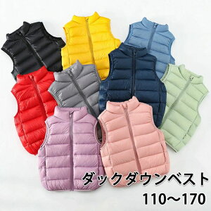 LbY q _ExXg LbY _bN_E j̎q ̎q ȃxXg AE^[ Ci[ xXg _E H ~ t h q ǂ AEghA t@Xi[ LbYxXg AE^[ m