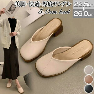 ~[pvX fB[X T{ T_ y ~[ T_ fB[X `L[q[ T{  ₷ ~[ [t@[ ؂ ƂȂ pvX 傫T