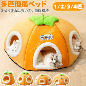 L xbh ~ h[ h[^ ܂ Lxbh 􂦂 g Lxbhh[ ybgxbh ӂӂ NbV ~p Jo[􂦂 ybg xbhnEX h[nEX ΍ ~