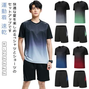 X|[c  TVc ZbgAbv Y ⊴  傫TCY n[tpc ZbgAbv V[gpc ėp Ђ ㉺Zbg ⊴ z  XEFbg Xgb` W[W 