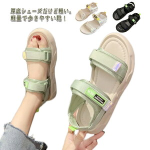 y X|[cT_ X|[c bVT_ fB[X RtH[gT_ ؂T_ 2cm V[Y Xj[J[ r[`T_ y ʋC r h EH[LO