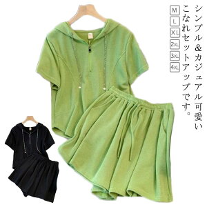  ZbgAbv fB[X XEFbg W[W  [EFA V[gpc  t[ht XEFbg ㉺Zbg pc   XGbg X|[cEFA t  Vv