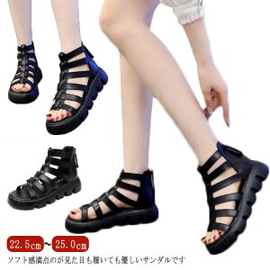 v T_ fB[X t@bV T_ u[cT_ _炩 U[u[c i` ₷ ؂   ʋC l r[`T_₷ T}[u[c 