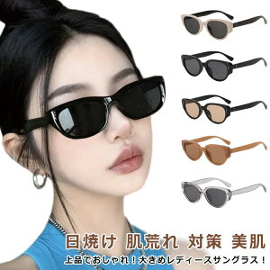 TOX fB[X UVJbg OJbg 傫 40 Ό  50 30 UV X|[c ΌY 傫 y ዾ Kl hCu ނ  P[Xt Ă r ΍  