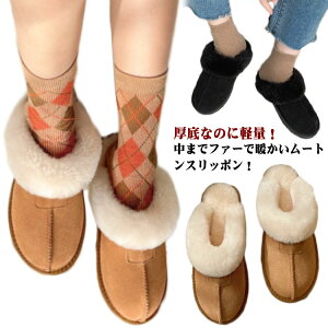 T{T_ vbgtH[ ɂȂ t@[ ʊw {A  30 40 RtH[gT_  C ꃀ[g ɂȂ T{ hT{ V[Y {AXb| t@[