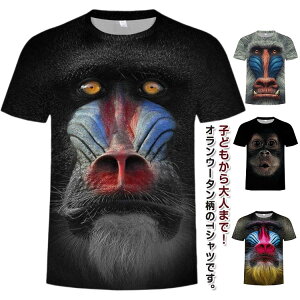  TVc Y j Aj}vg `pW[ IE[^ S  j[N  tVc LbY qǂ 110 120 130cm  z TVc 3D vg 傫TCY  