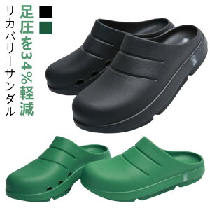 EVA Jo[T_ Xbp 34%y Ռz  NT_ A[`T|[g Y fB[X jp lԍHw y ʋC K Snǂ Y fB[XV[Y T