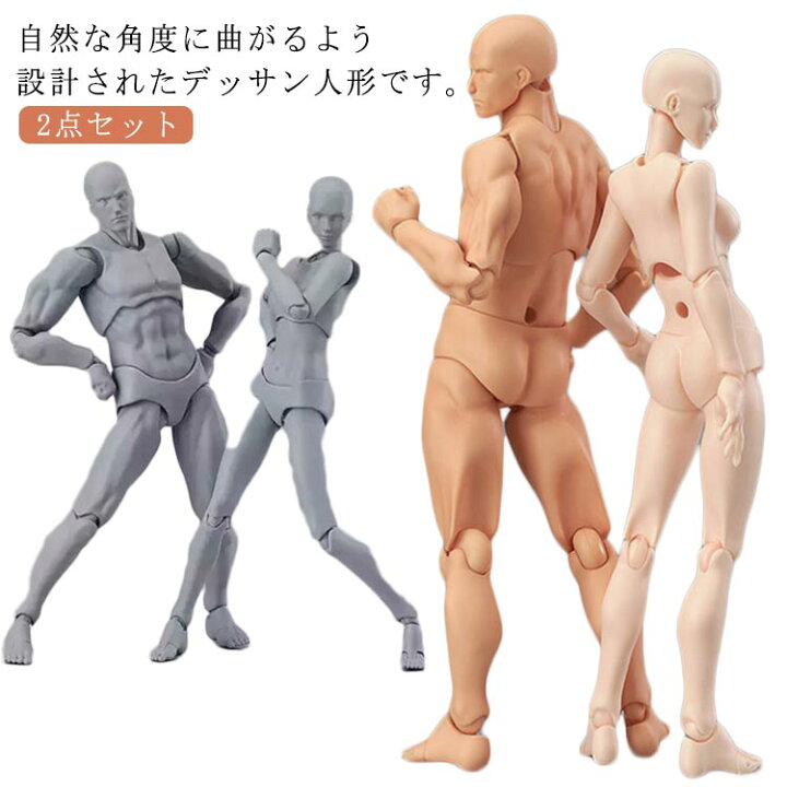 楽天市場】デッサン人形 2点セット 男性 女性 モデル人形 ポージング 