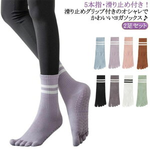 y2ZbgzK\bNX 5{w\bNX ~ߕt fB[X seBX K C    X|[c\bNX C\bNX zbgK \bNX KEFA ܖ{w\b