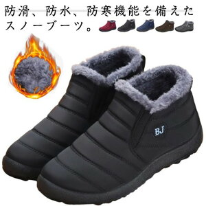 hC EB^[u[c m[u[c Y ₷ fB[X EH[LO  C N Xm[V[Y hC  N ۉ ΍ y Vl m[u[c ʋ s 