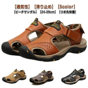 X|[cT_ Lv T_ {v AEghAT_ T_ ܐی  ₷  Ol܂ r[`T_ ɂ Y ₷ y U[T_